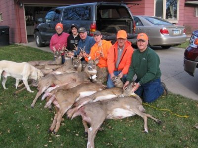 Deer 2007.jpg