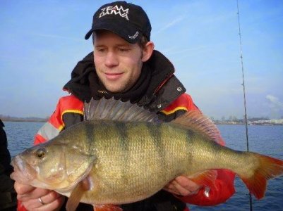 perch germany world record biggest fish ever caught big huge fishes records largest monster fish.jpg