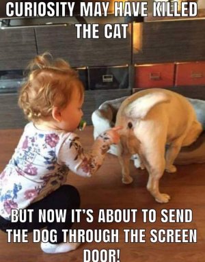 a15404b06c29b41f8902006b9414dd50.jpg a15404b06c29b41f8902006b9414dd50.jpg