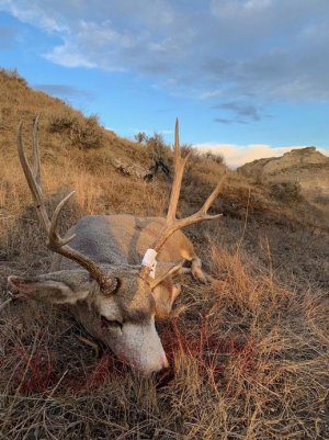 2019_2.jpg 2019_2.jpg