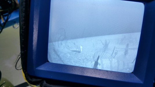 2016-01-24 12.34.57.jpg