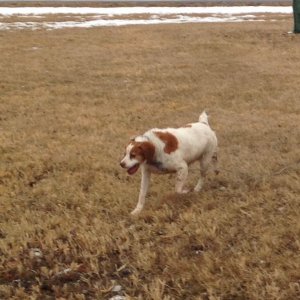 pepper.jpg pepper.jpg