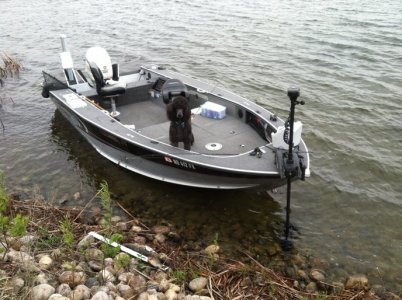 2015-05-09 10.53.24 - Copy.jpg