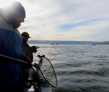 204_filtered (2).jpg