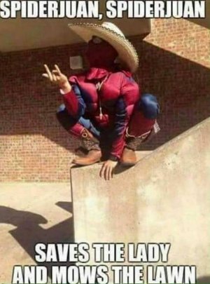 spiderjuan.jpg