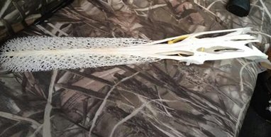 FB_IMG_1458736335961-01.jpg FB_IMG_1458736335961-01.jpg