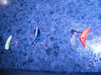 IMG_0984.jpg IMG_0984.jpg