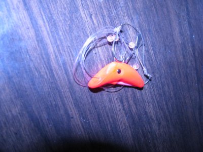 IMG_0988.JPG IMG_0988.JPG