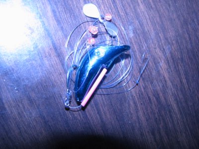 IMG_0989.JPG IMG_0989.JPG