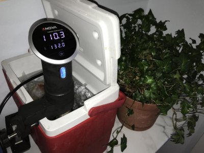 1CB38892-B728-46BB-89D9-46B6BD650575.jpg 1CB38892-B728-46BB-89D9-46B6BD650575.jpg