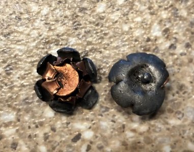 Gel Collections.jpg Gel Collections.jpg