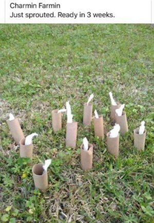 89780818_10221557379504721_5195904825992151040_n.jpg 89780818_10221557379504721_5195904825992151040_n.jpg