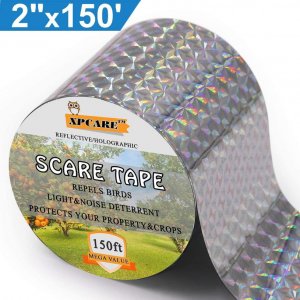 81QlqeEbMgL._AC_SL1500_.jpg 81QlqeEbMgL._AC_SL1500_.jpg