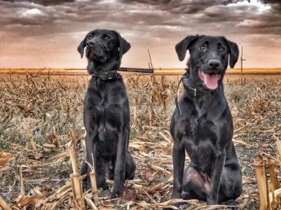 banks and tenny.jpg banks and tenny.jpg