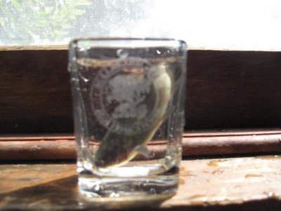 FB_IMG_1607390062927.jpg FB_IMG_1607390062927.jpg