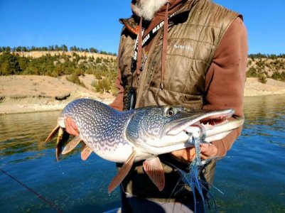 BFBA77AD-D565-40B1-90CD-571909097860.jpg BFBA77AD-D565-40B1-90CD-571909097860.jpg