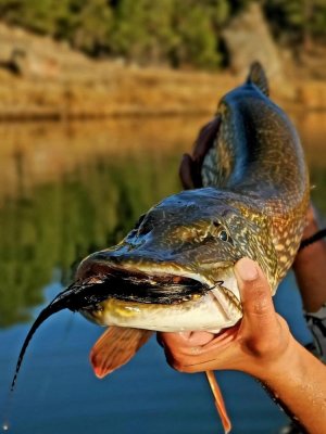 325AF4AC-8EC3-4348-AB79-375FA15DF871 (1).jpg 325AF4AC-8EC3-4348-AB79-375FA15DF871 (1).jpg