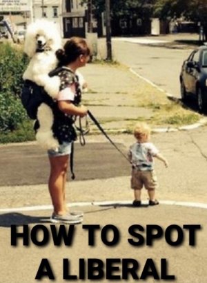 5B0542F2-E5AE-40F4-A32F-18C06577C774.jpg 5B0542F2-E5AE-40F4-A32F-18C06577C774.jpg