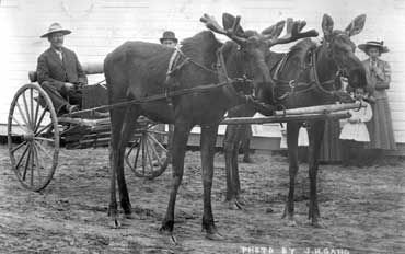 3d75cc041d0a4c70cef458c597d253c4.jpg 3d75cc041d0a4c70cef458c597d253c4.jpg