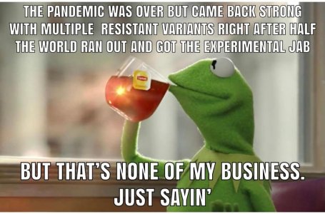 PK8kQkZv.jpg PK8kQkZv.jpg