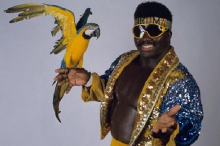 Koko-B.-Ware-Giving-Nice-Pose.jpg