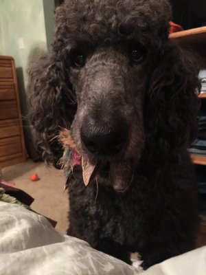 2016-03-21 21.50.51.jpg