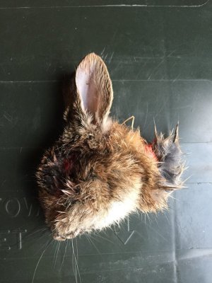 2016-03-22 08.06.07.jpg