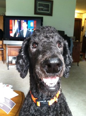 2013-09-18 17.55.57.jpg