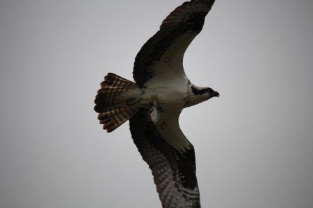 IMG_2042.jpg IMG_2042.jpg