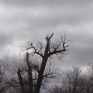 IMG_1622.jpg IMG_1622.jpg