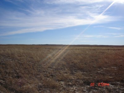 DSC00594.JPG DSC00594.JPG