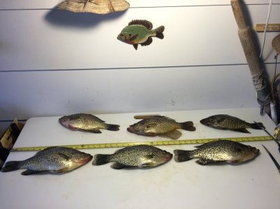 2016-05-01 17.48.00.jpg 2016-05-01 17.48.00.jpg