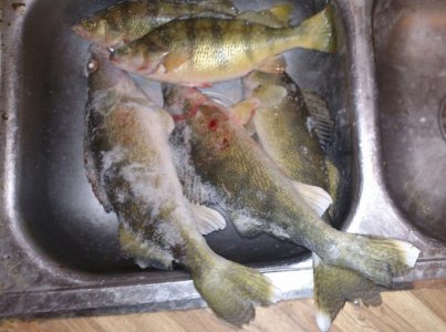 IMG_20160103_100153.jpg IMG_20160103_100153.jpg