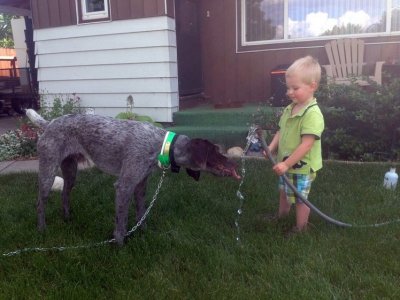 gunner2.jpg gunner2.jpg