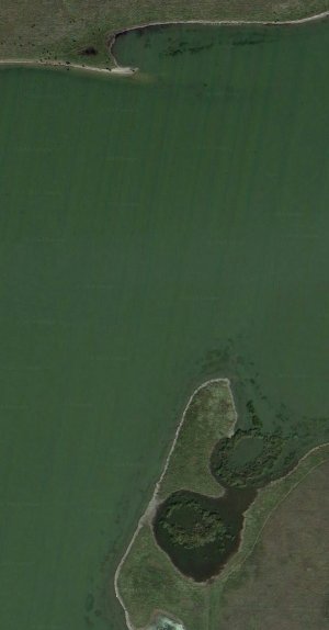 IMG_20160528_132554.jpg IMG_20160528_132554.jpg