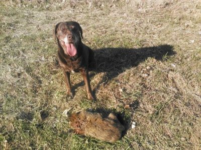 13015421_1694889677432414_2866414928352715647_n.jpg 13015421_1694889677432414_2866414928352715647_n.jpg