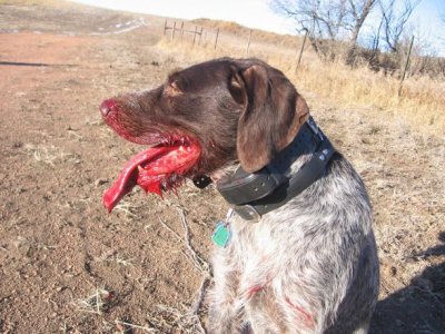 389896_980682996545_420990394_n.jpg 389896_980682996545_420990394_n.jpg