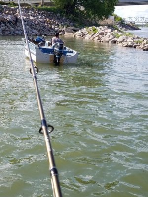 20160524_174958.jpg 20160524_174958.jpg