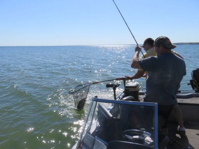 20160610102217.jpg 20160610102217.jpg