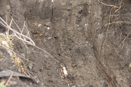 DSC04521.jpg DSC04521.jpg