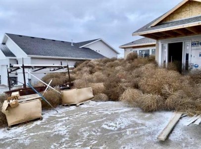 Bis tumble weeds 3.jpg Bis tumble weeds 3.jpg