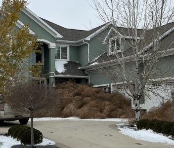 Bis tumble weeds 4.jpg Bis tumble weeds 4.jpg