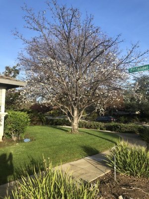 IMG_2983.jpg IMG_2983.jpg