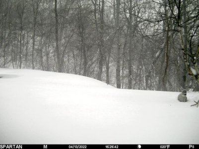 2022-04-14 16.22.29.jpg