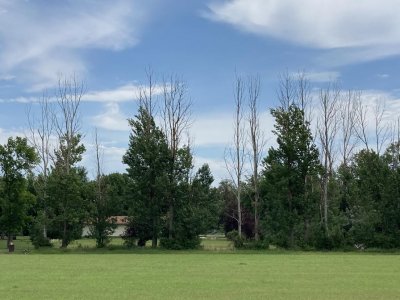 2022-07-18 13.13.01.jpg 2022-07-18 13.13.01.jpg