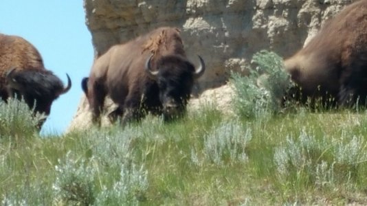 20160618_133333.jpg 20160618_133333.jpg