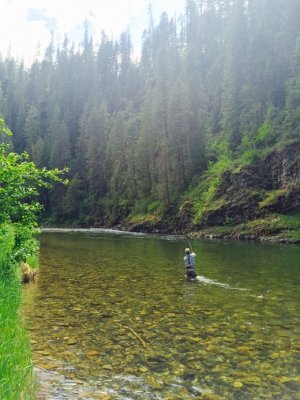 IMG_0958 (003).jpg IMG_0958 (003).jpg