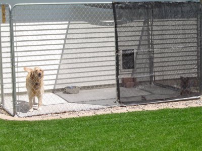 DSC00883.jpg DSC00883.jpg