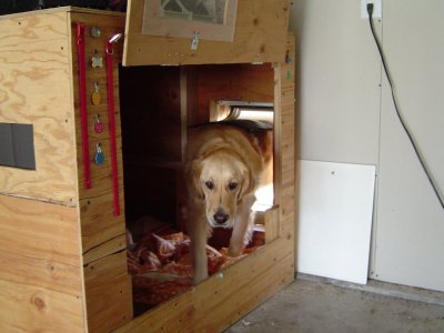 DSC01339.jpg DSC01339.jpg