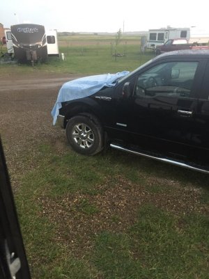 IMG_3163.jpg IMG_3163.jpg